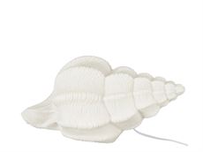 Bordlampe "Shell" - conch shell
