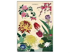 Vintage plakat Japaonica - 50x70 
